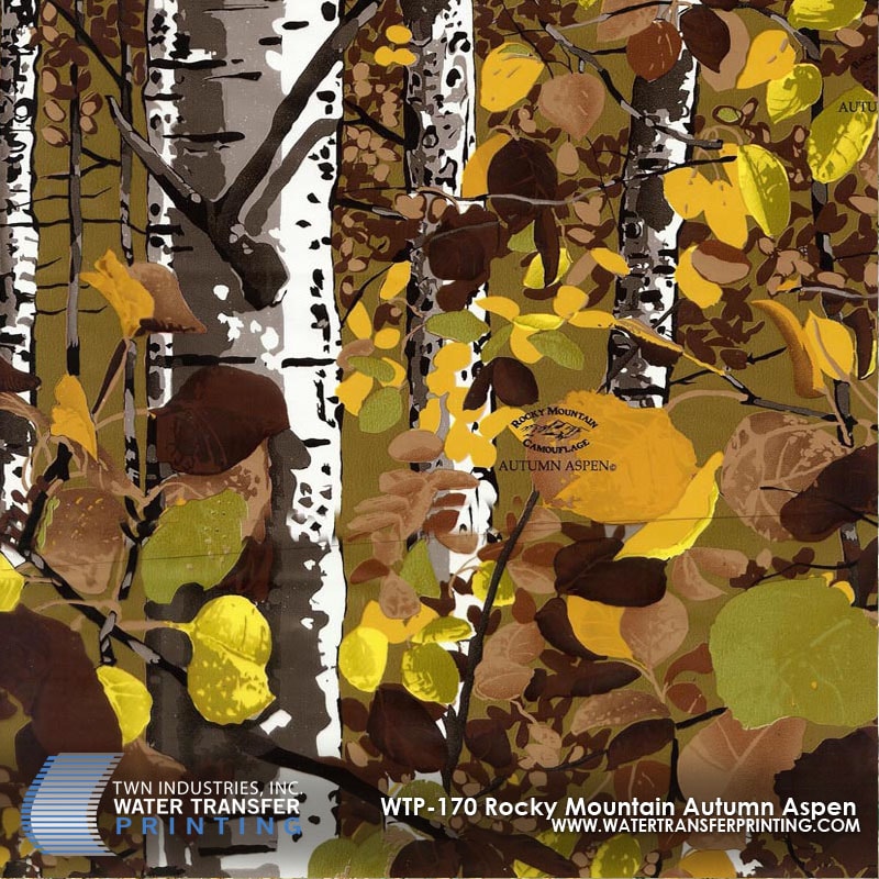 Rocky Mountain — Autumn Aspen