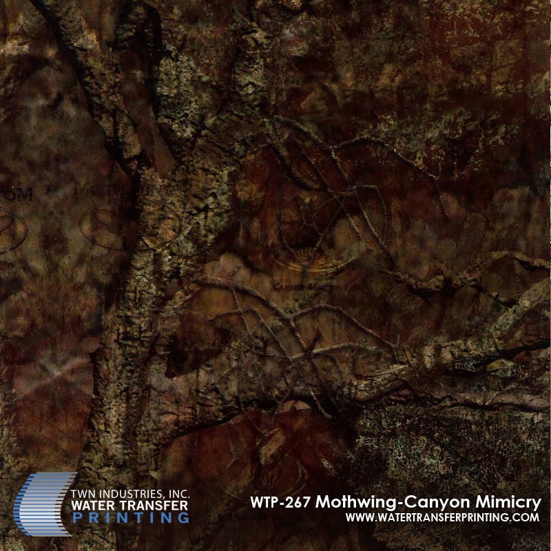 Mothwing — Canyon Mimicry
